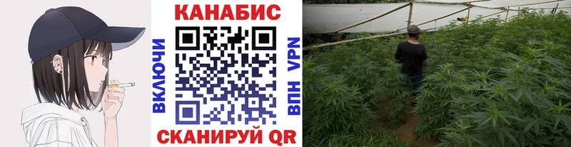 купить наркоту  Переславль-Залесский  Каннабис Amnesia 